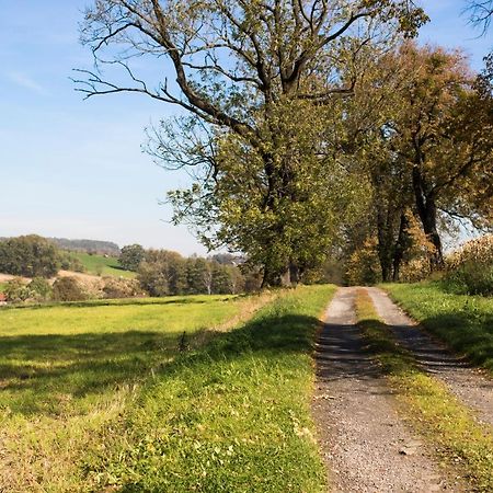 Villa Bawaria Cieszyn  Esterno foto